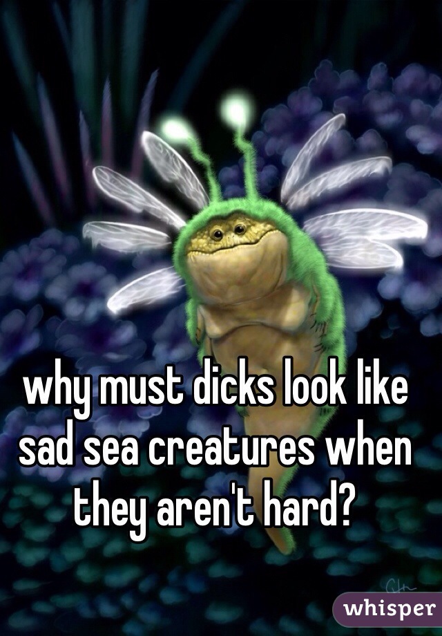 why must dicks look like sad sea creatures when they aren't hard?