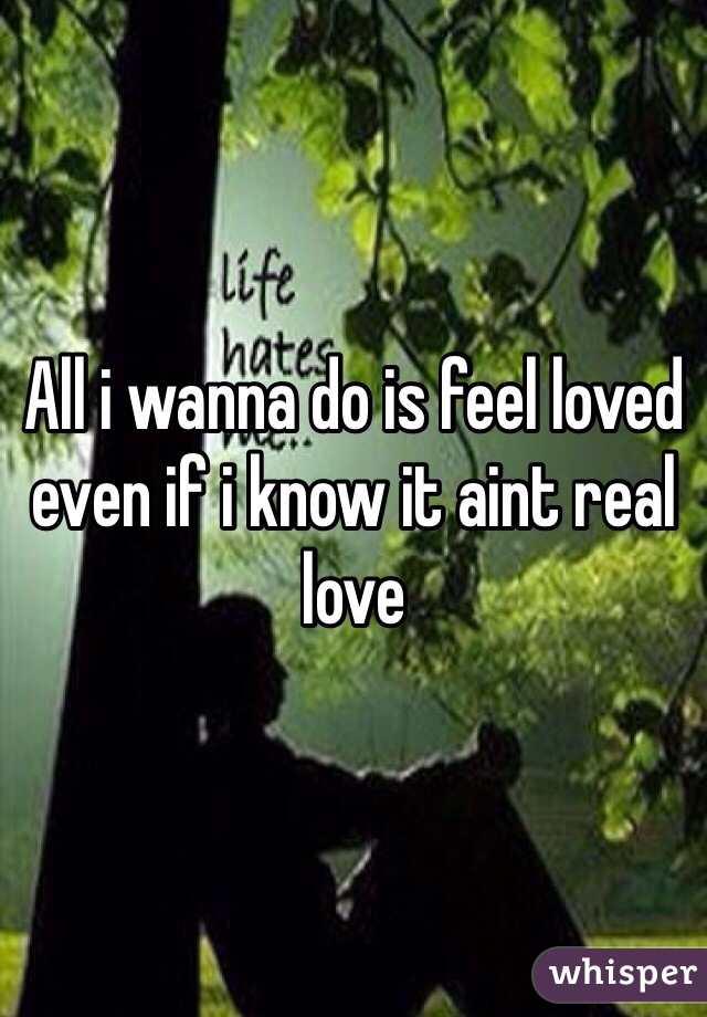 All i wanna do is feel loved even if i know it aint real love 