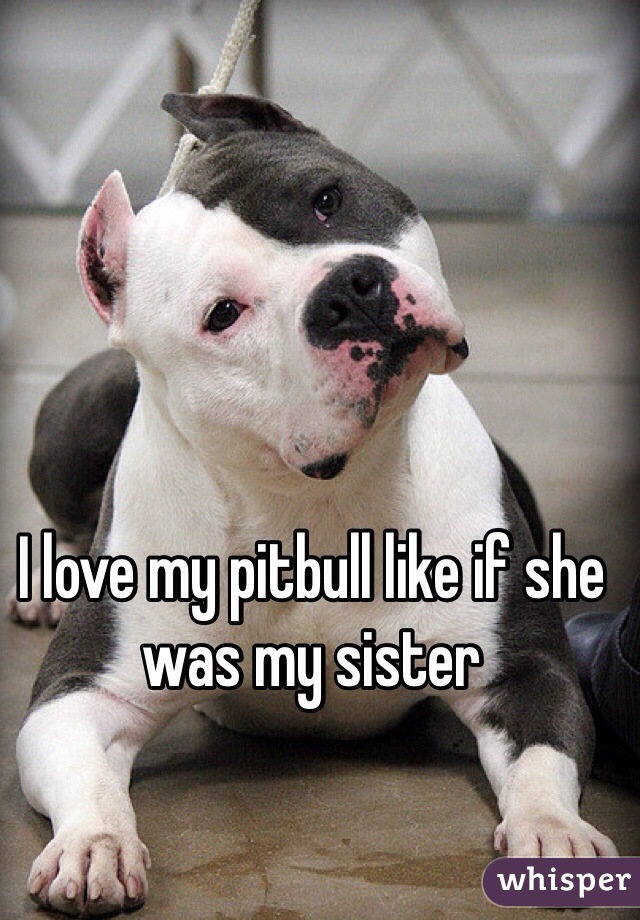 I love my pitbull like if she was my sister