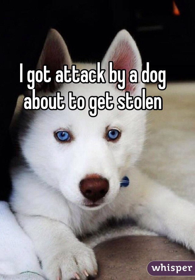 I got attack by a dog about to get stolen