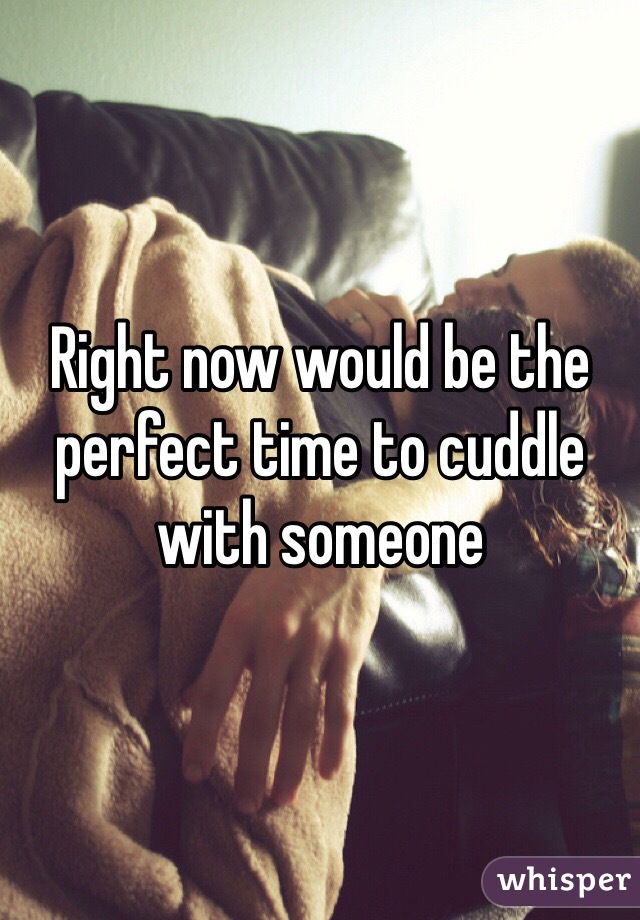 Right now would be the perfect time to cuddle with someone 