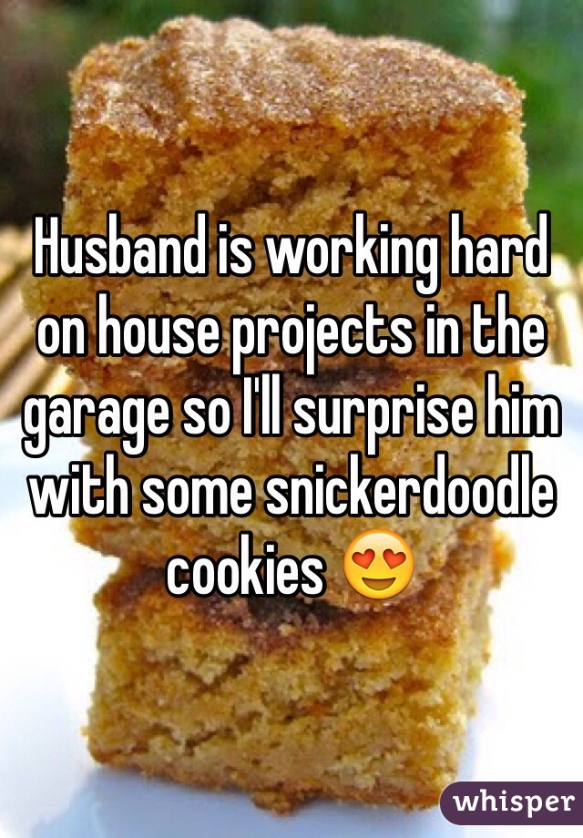 Husband is working hard on house projects in the garage so I'll surprise him with some snickerdoodle cookies 😍