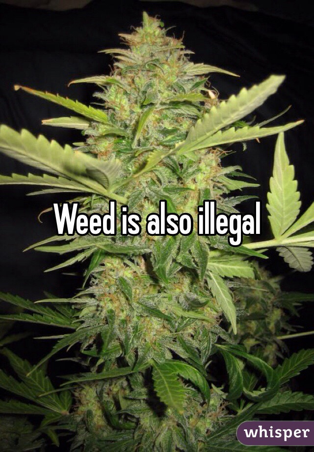 Weed is also illegal 