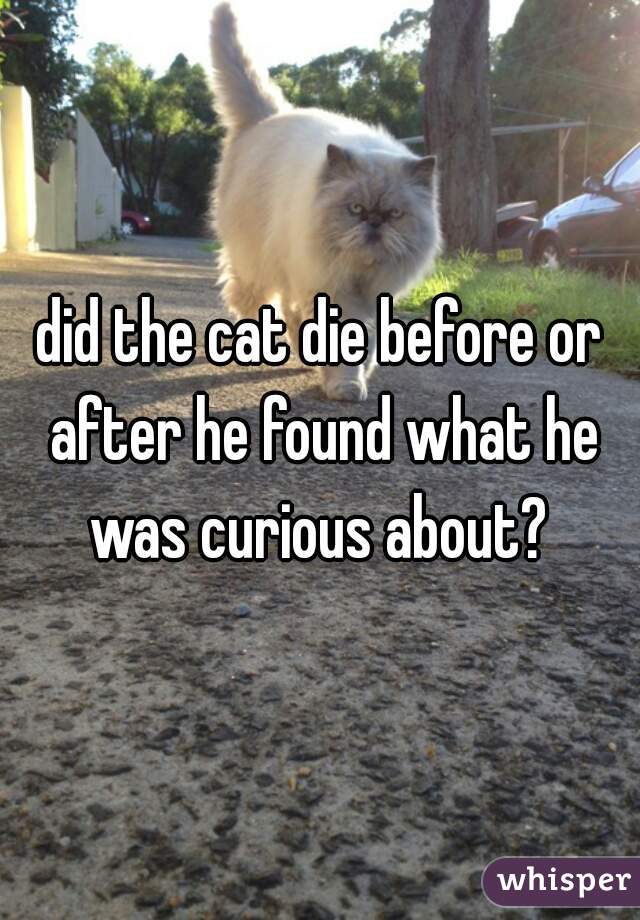 did the cat die before or after he found what he was curious about? 
