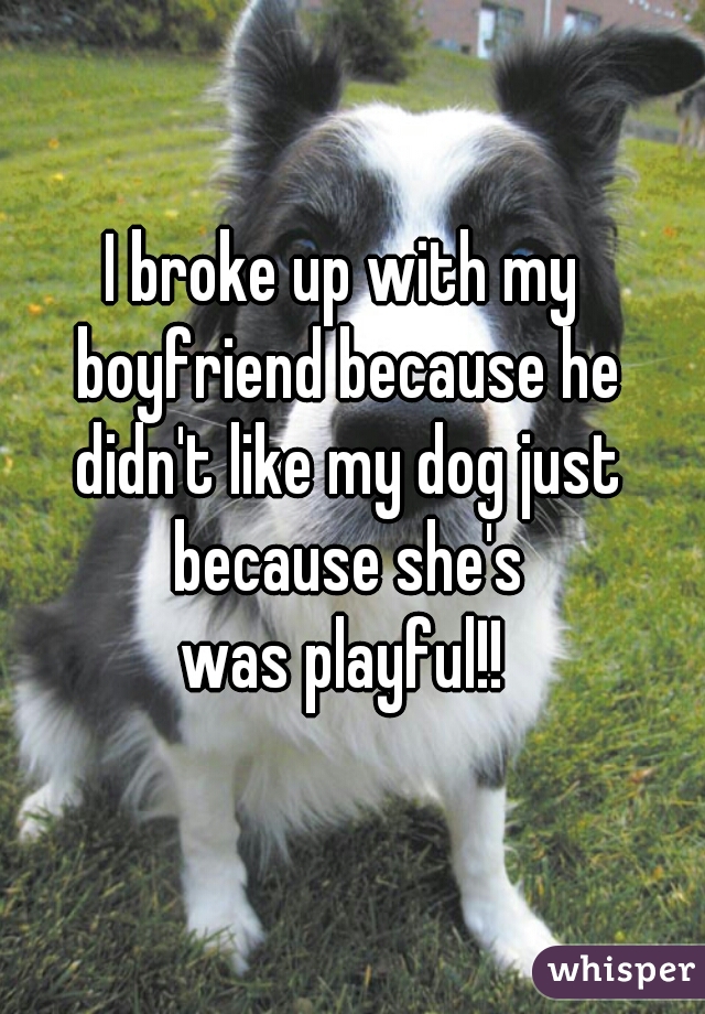 I broke up with my boyfriend because he didn't like my dog just because she's
 was playful!! 