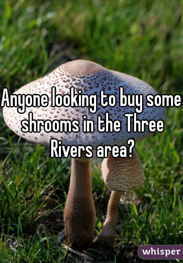 Anyone looking to buy some shrooms in the Three Rivers area?
