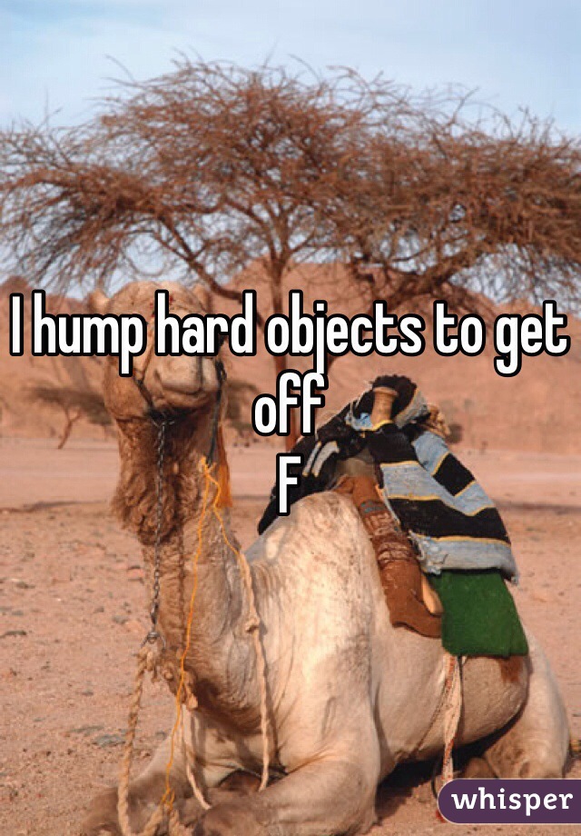 I hump hard objects to get off 
F