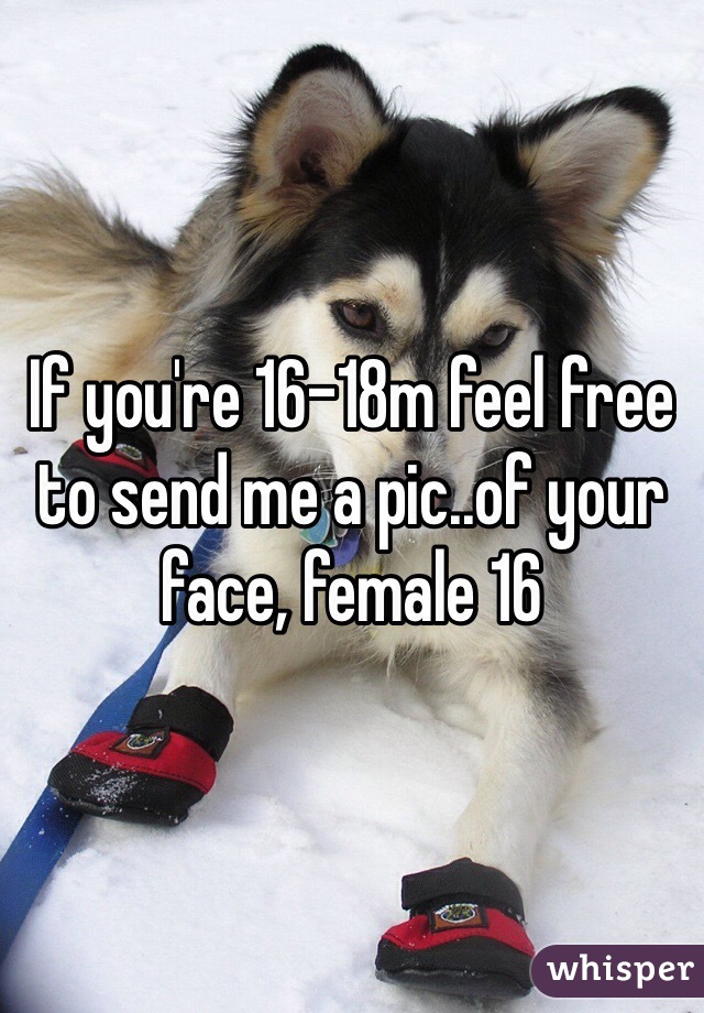 If you're 16-18m feel free to send me a pic..of your face, female 16