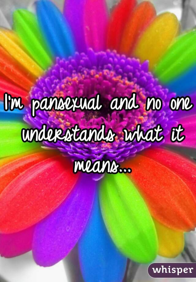 I'm pansexual and no one understands what it means...