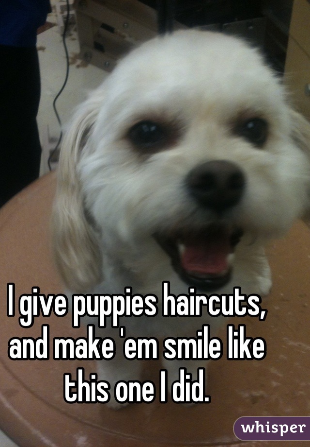 I give puppies haircuts, and make 'em smile like this one I did.
