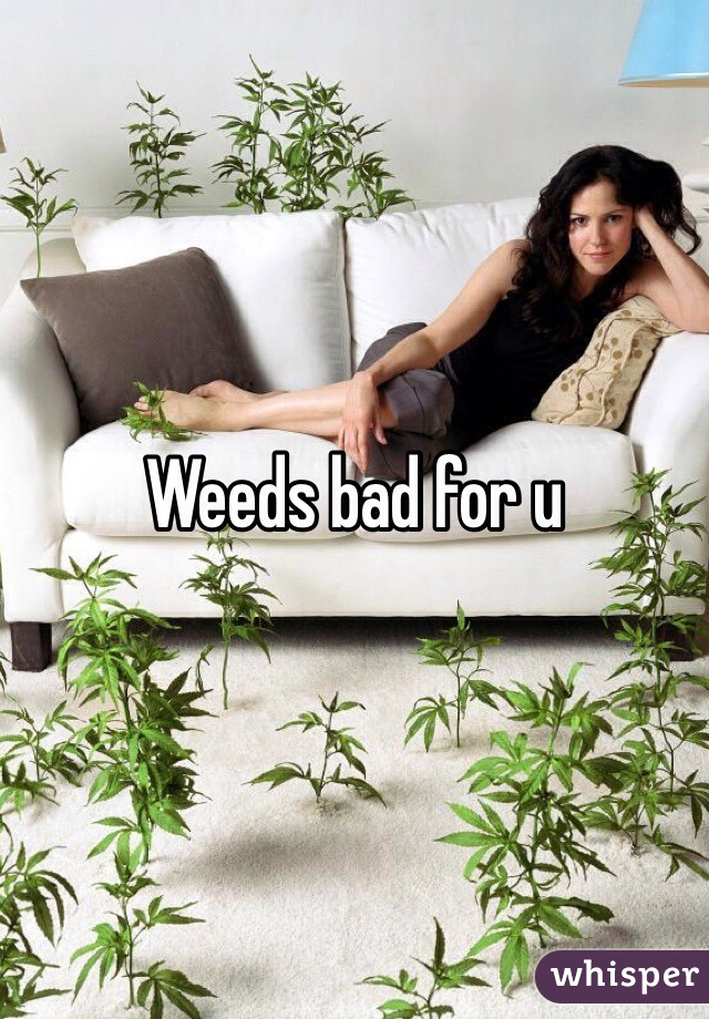 Weeds bad for u