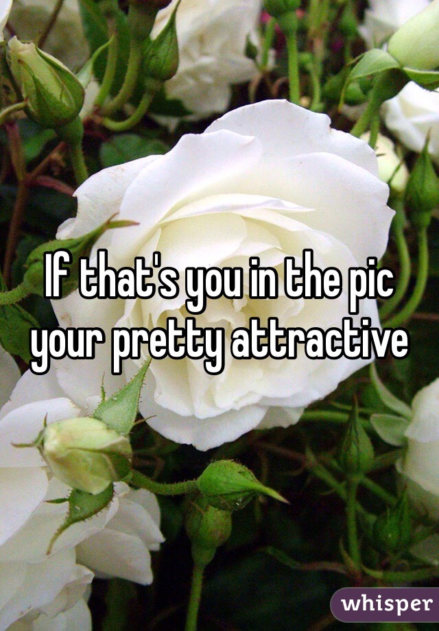 If that's you in the pic your pretty attractive 