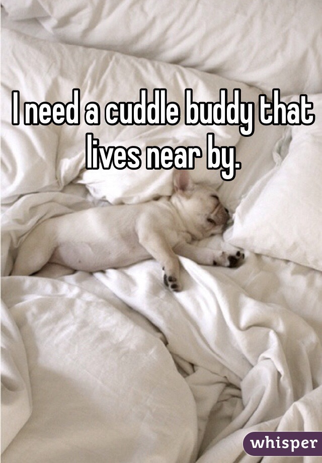 I need a cuddle buddy that lives near by. 
