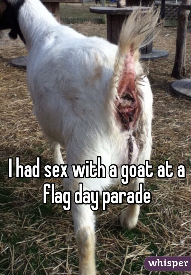 I had sex with a goat at a flag day parade