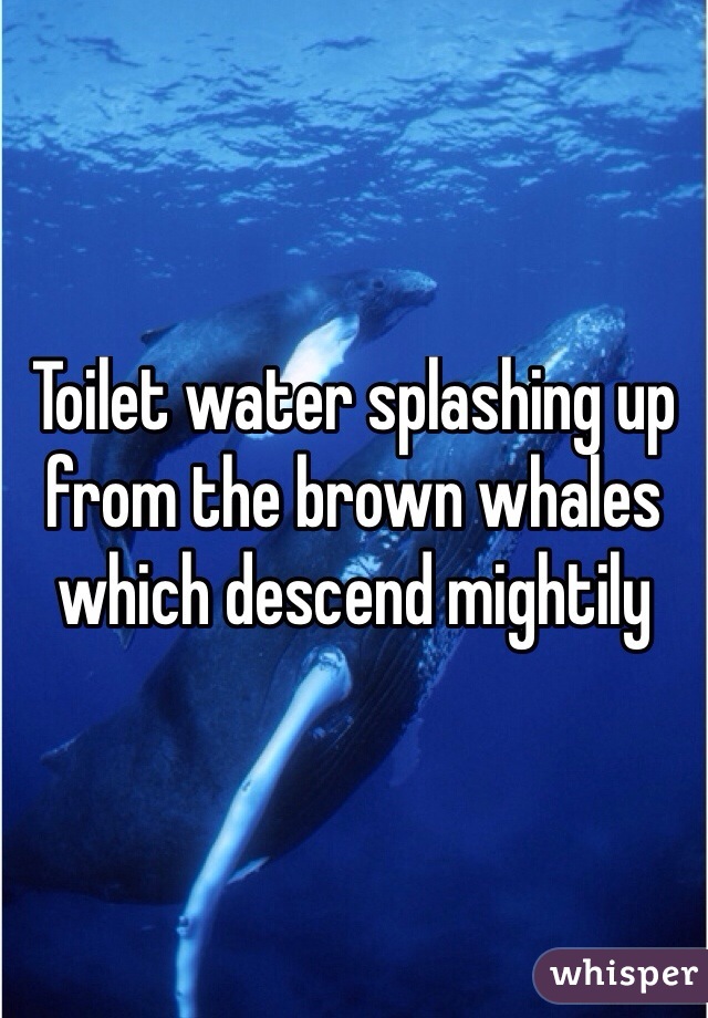 Toilet water splashing up from the brown whales which descend mightily 
