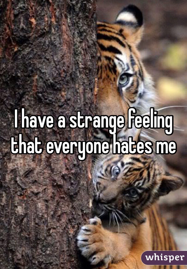 I have a strange feeling that everyone hates me 