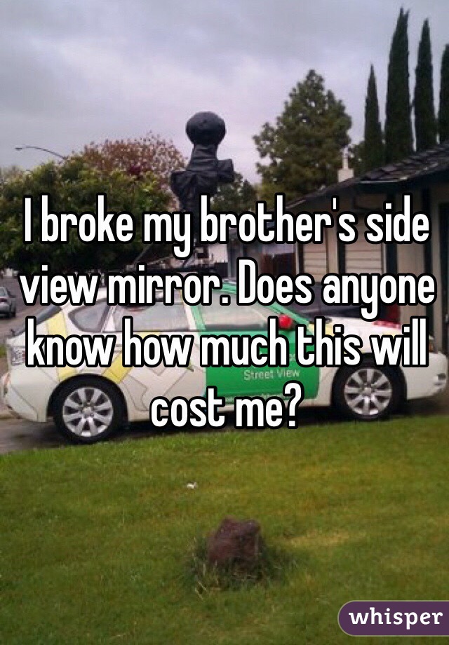 I broke my brother's side view mirror. Does anyone know how much this will cost me?