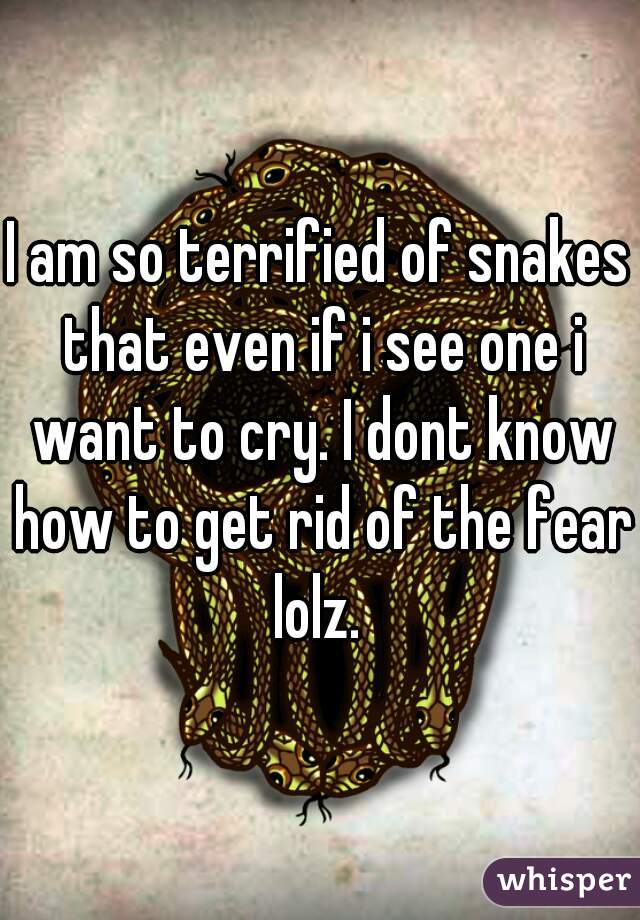 I am so terrified of snakes that even if i see one i want to cry. I dont know how to get rid of the fear lolz. 