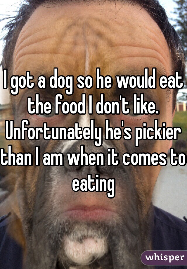 I got a dog so he would eat the food I don't like. Unfortunately he's pickier than I am when it comes to eating
