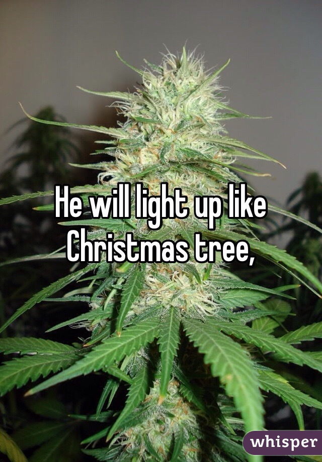 He will light up like Christmas tree, 