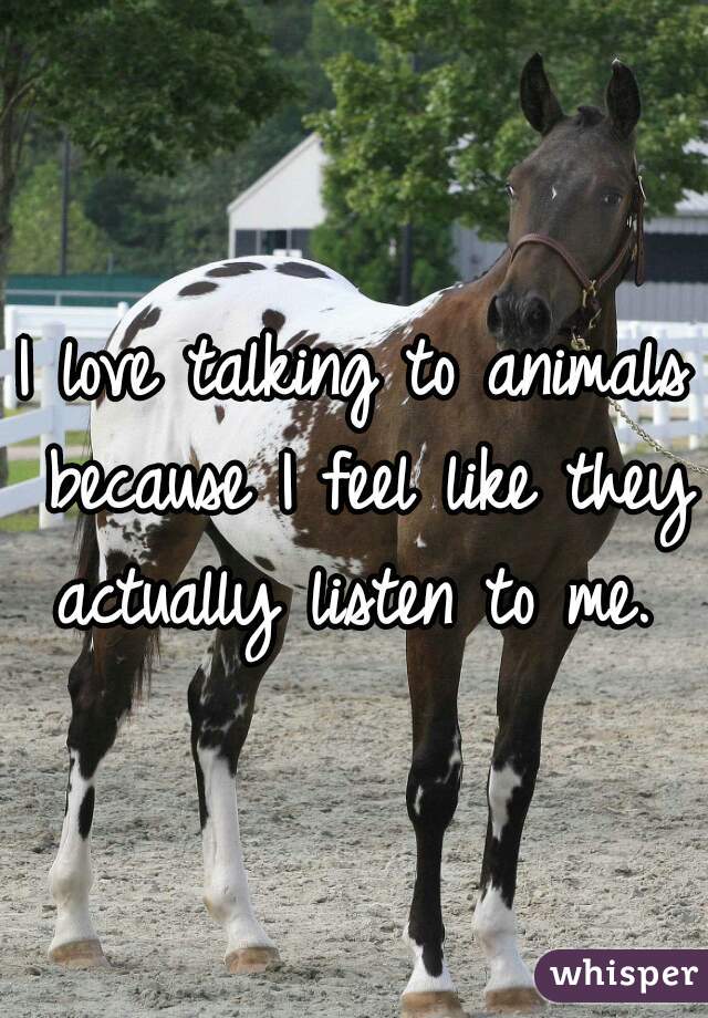 I love talking to animals because I feel like they actually listen to me. 