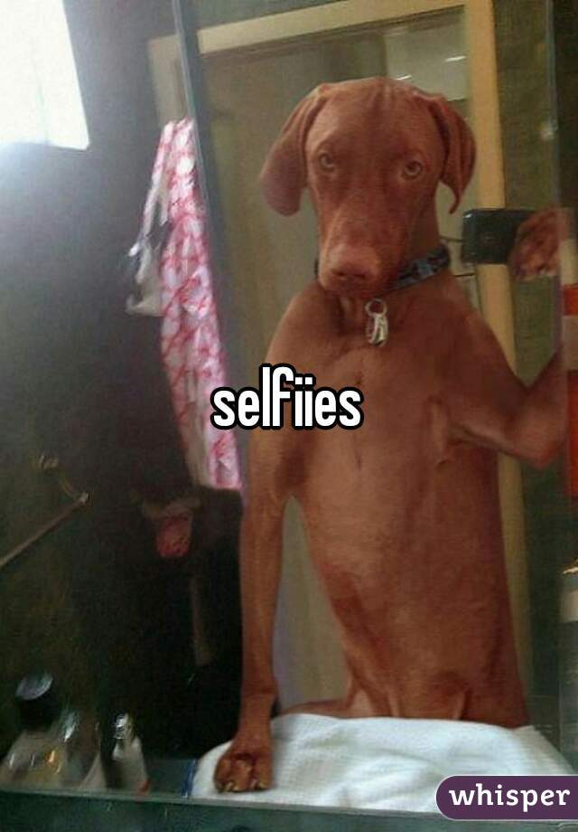 selfiies

