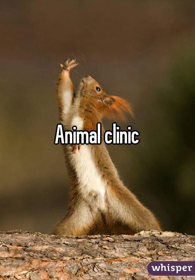 Animal clinic