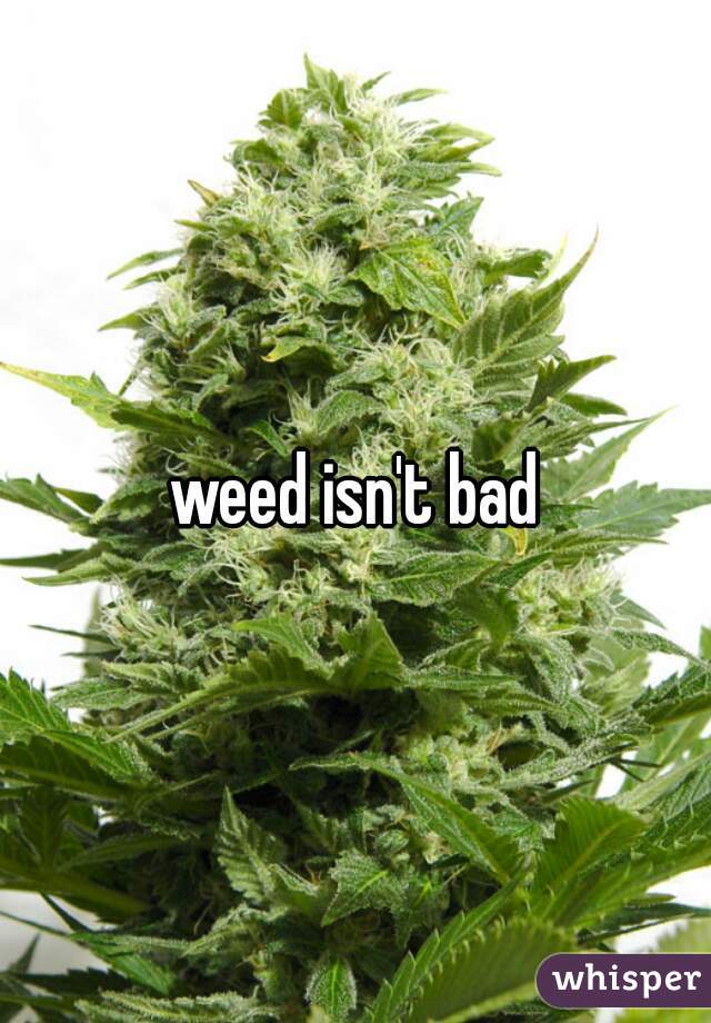 weed isn't bad