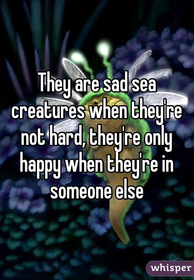 They are sad sea creatures when they're not hard, they're only happy when they're in someone else 