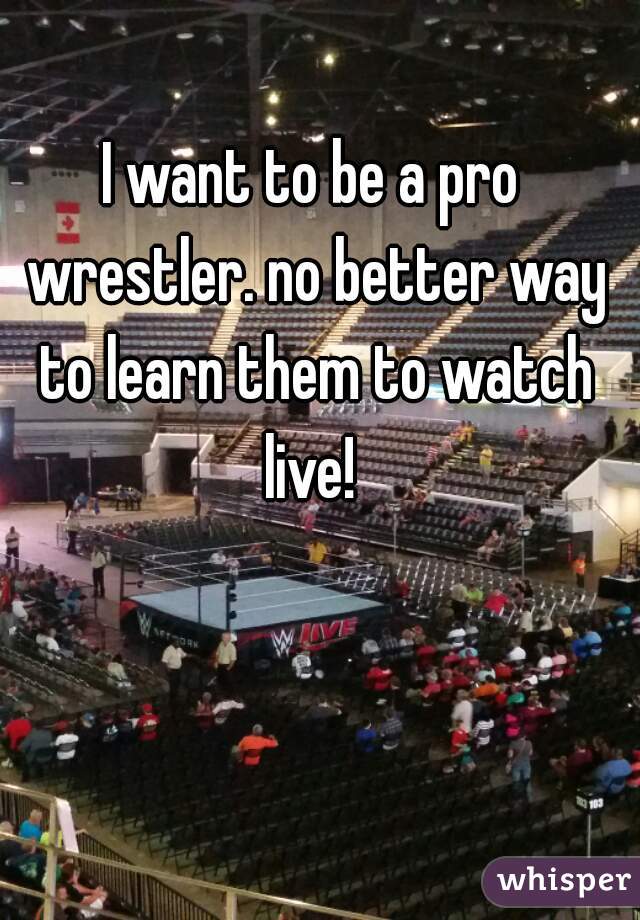 I want to be a pro wrestler. no better way to learn them to watch live! 