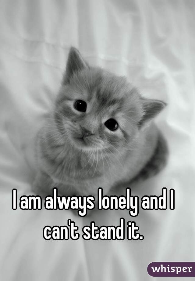 I am always lonely and I can't stand it. 