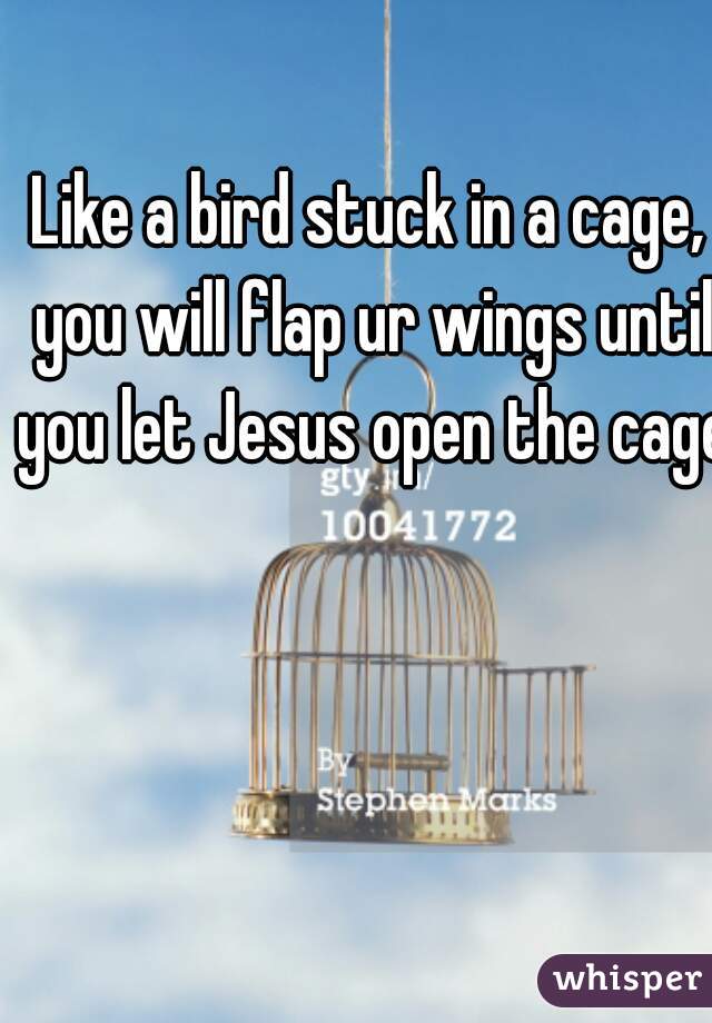 Like a bird stuck in a cage, you will flap ur wings until you let Jesus open the cage.