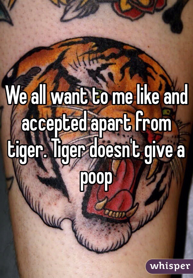 We all want to me like and accepted apart from tiger. Tiger doesn't give a poop 