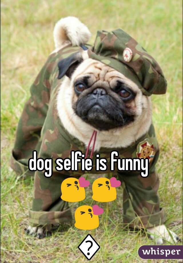 dog selfie is funny 😘😘😘😘