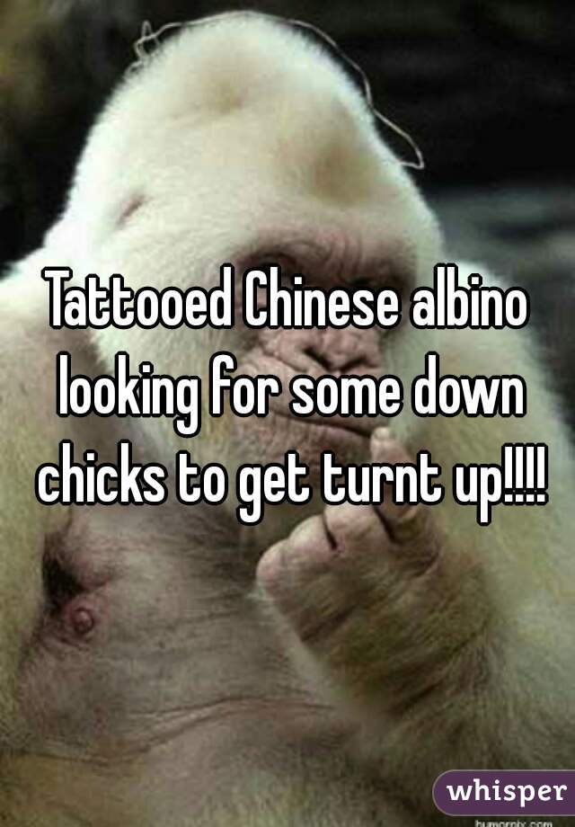 Tattooed Chinese albino looking for some down chicks to get turnt up!!!!