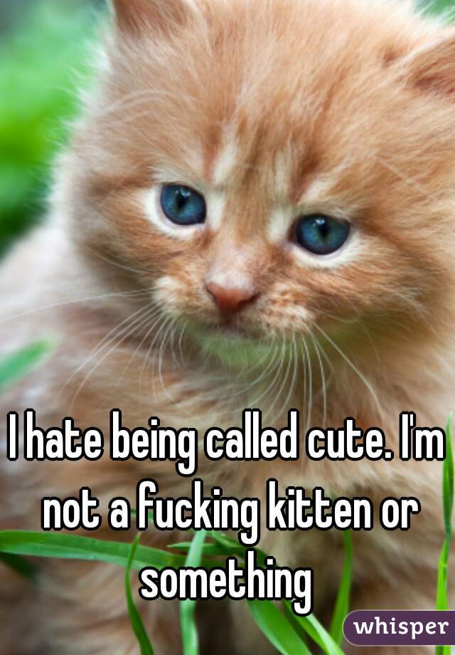 I hate being called cute. I'm not a fucking kitten or something 