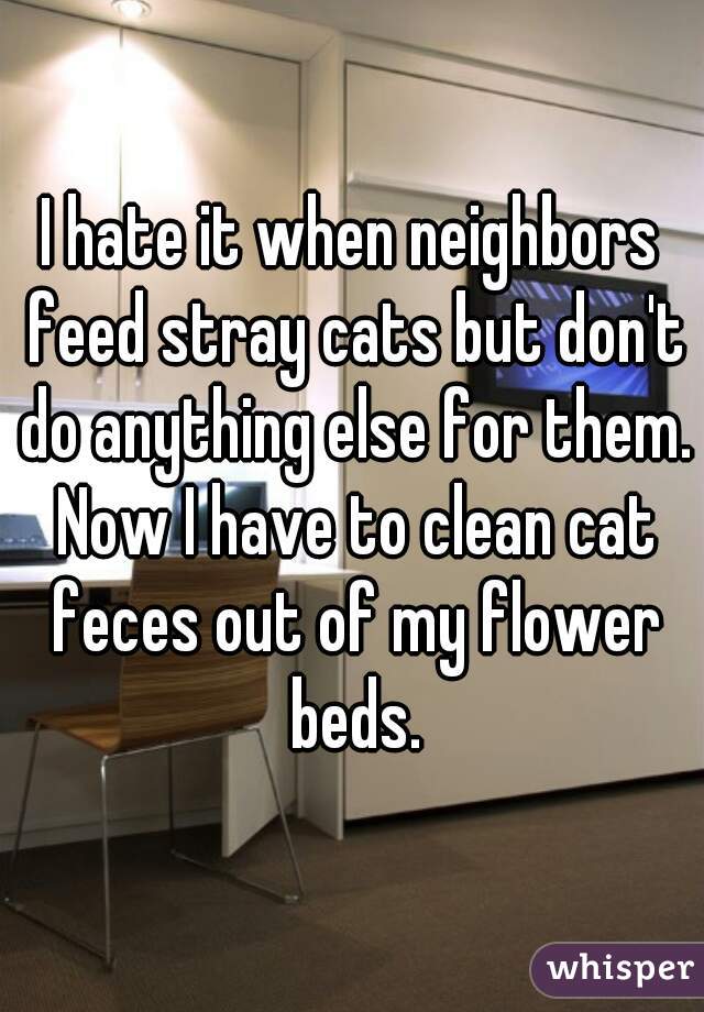 I hate it when neighbors feed stray cats but don't do anything else for them. Now I have to clean cat feces out of my flower beds.