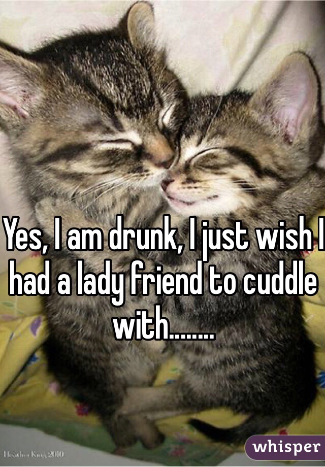 Yes, I am drunk, I just wish I had a lady friend to cuddle with........