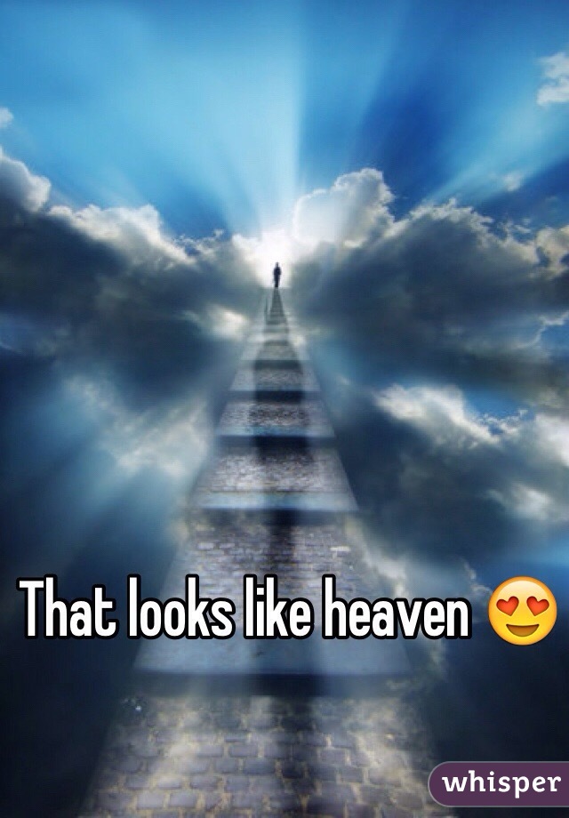 That looks like heaven 😍