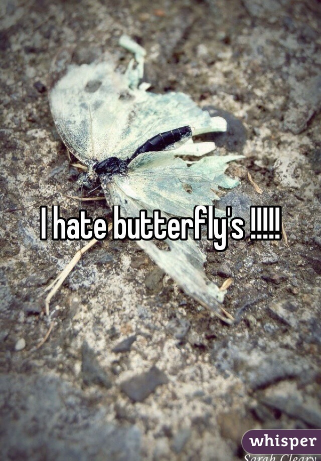 I hate butterfly's !!!!!
