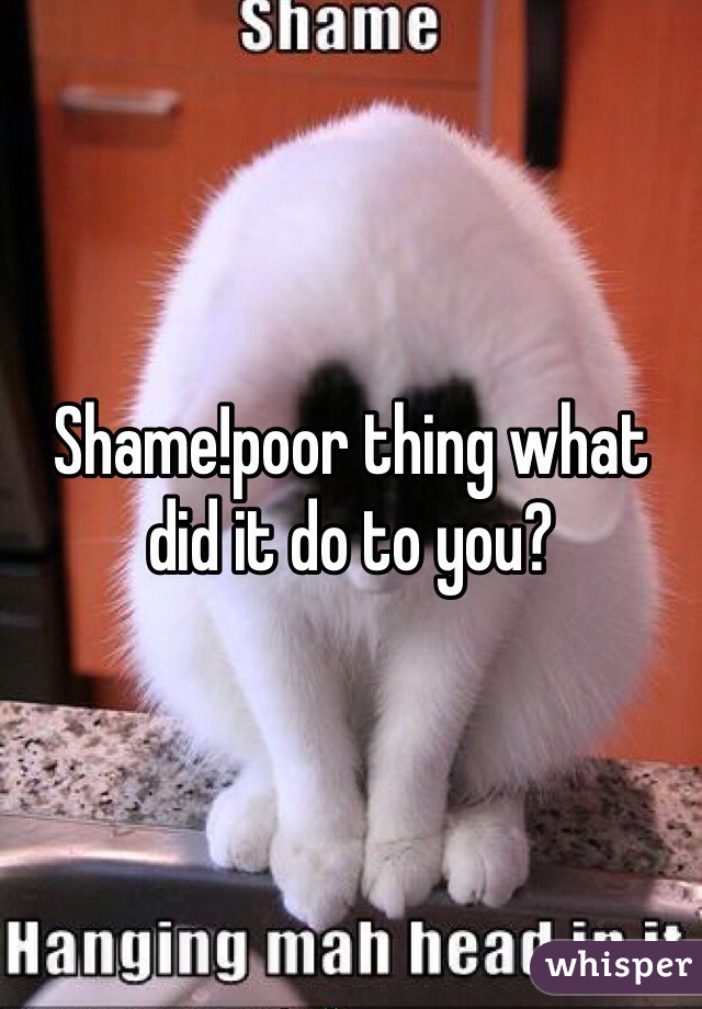 Shame!poor thing what did it do to you?