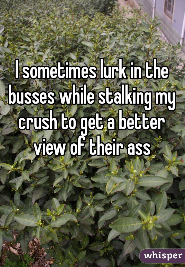 I sometimes lurk in the busses while stalking my crush to get a better view of their ass