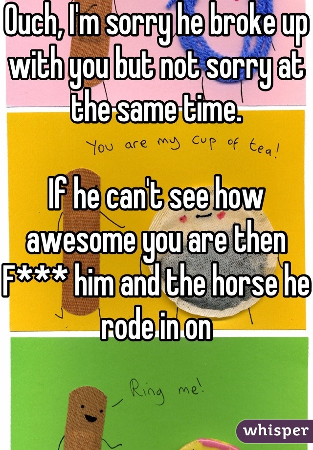 Ouch, I'm sorry he broke up with you but not sorry at the same time. 

If he can't see how awesome you are then F*** him and the horse he rode in on