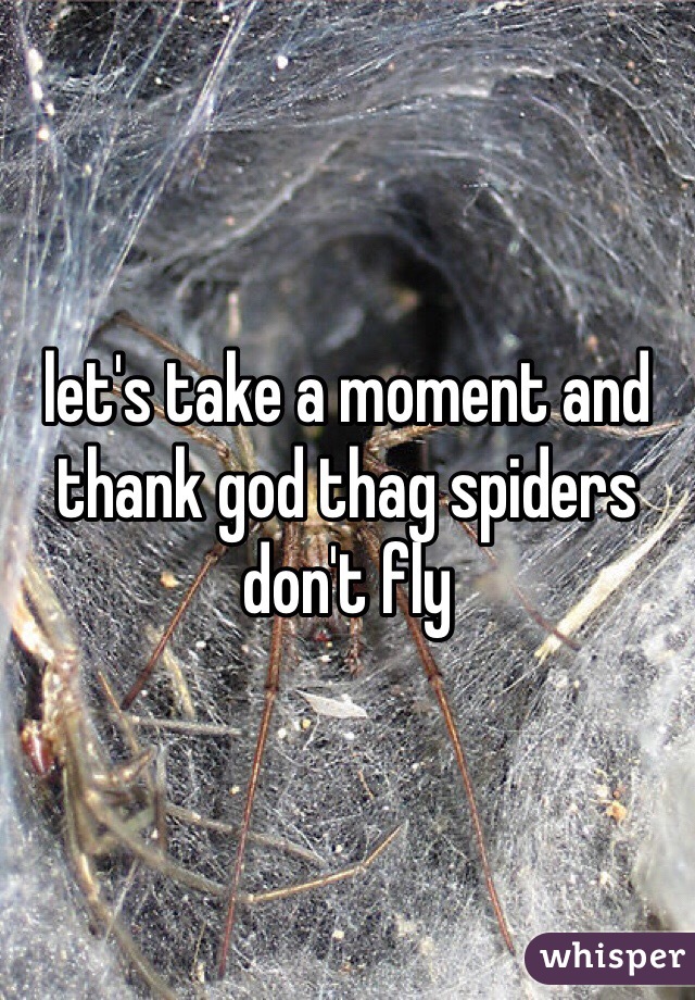 let's take a moment and thank god thag spiders don't fly