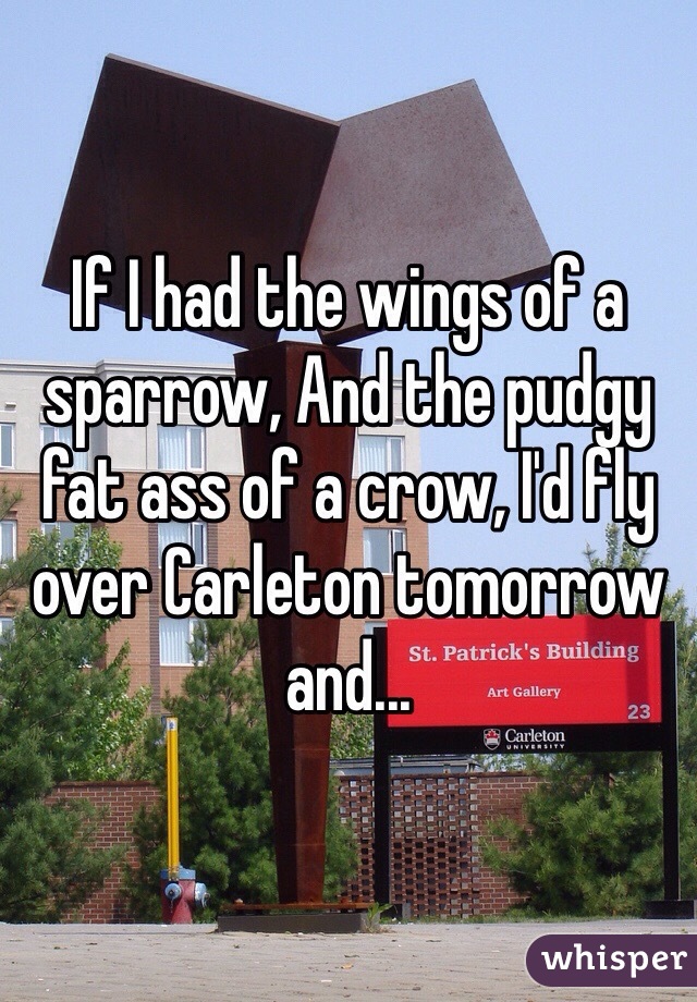 If I had the wings of a sparrow, And the pudgy fat ass of a crow, I'd fly over Carleton tomorrow and...