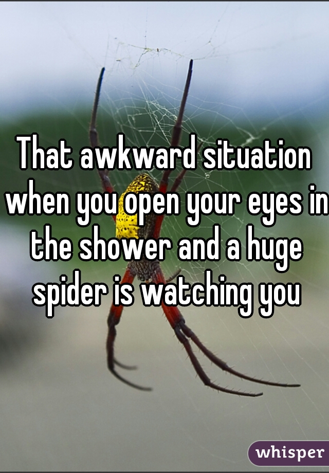 That awkward situation when you open your eyes in the shower and a huge spider is watching you