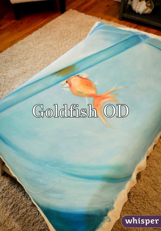Goldfish OD