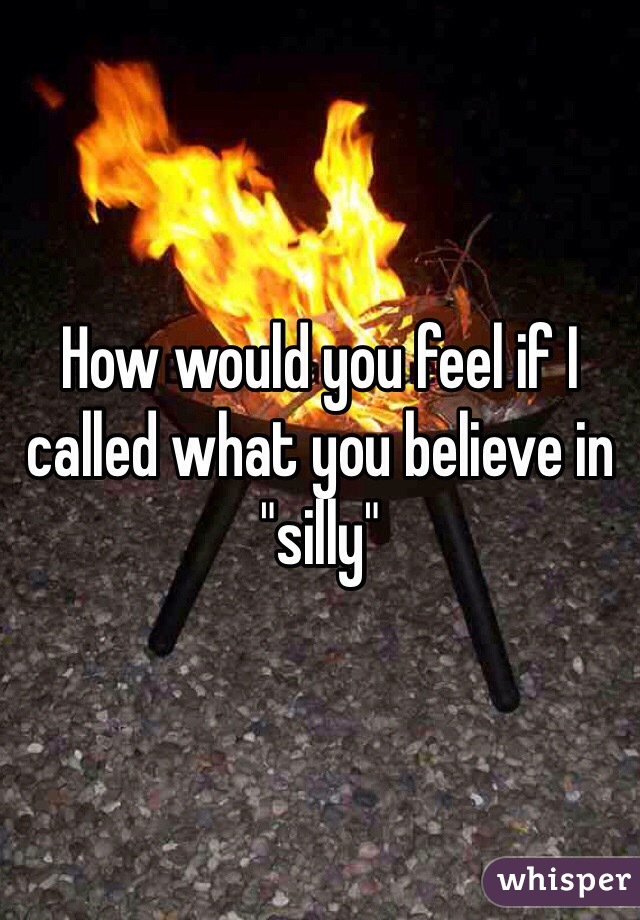 How would you feel if I called what you believe in "silly"