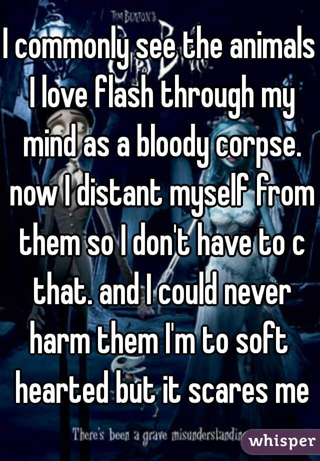 I commonly see the animals I love flash through my mind as a bloody corpse. now I distant myself from them so I don't have to c that. and I could never harm them I'm to soft  hearted but it scares me