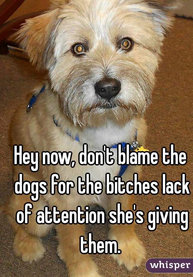 Hey now, don't blame the dogs for the bitches lack of attention she's giving them. 